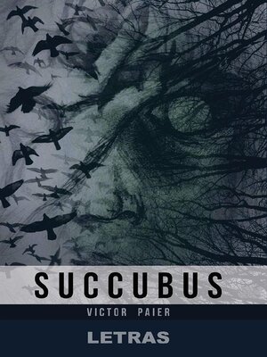 cover image of Succubus